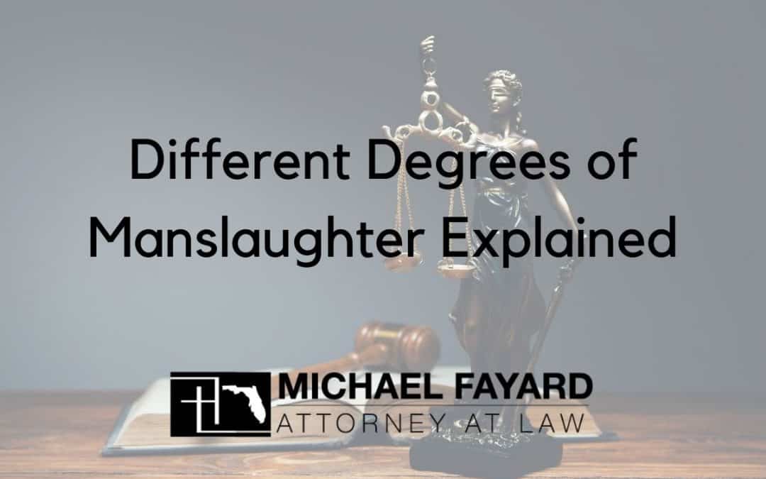 degrees of manslaughter explained sarasota county